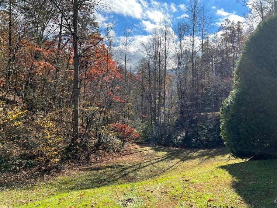 Villa Shiner'S Hollow à Gatlinburg Extérieur photo